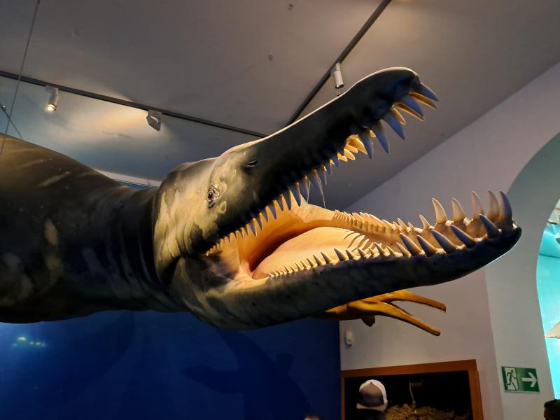 Saurier Unter Wasser